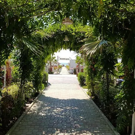 Vela Beachfront Private Terrace *