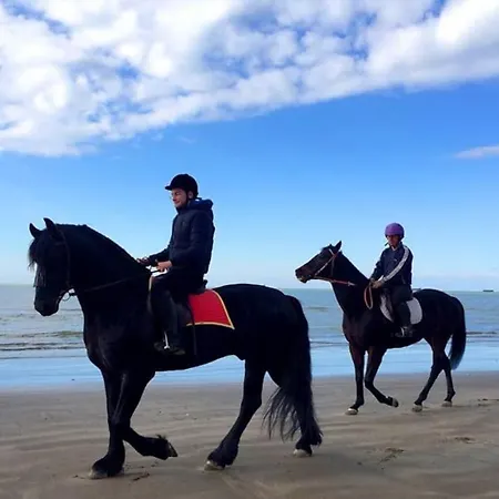 Vela Beachfront Private Terrace *