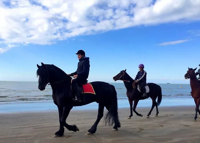 Vela Beachfront Private Terrace *